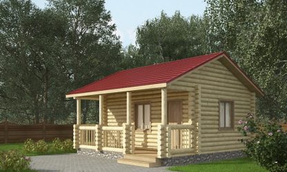 Проект Айк